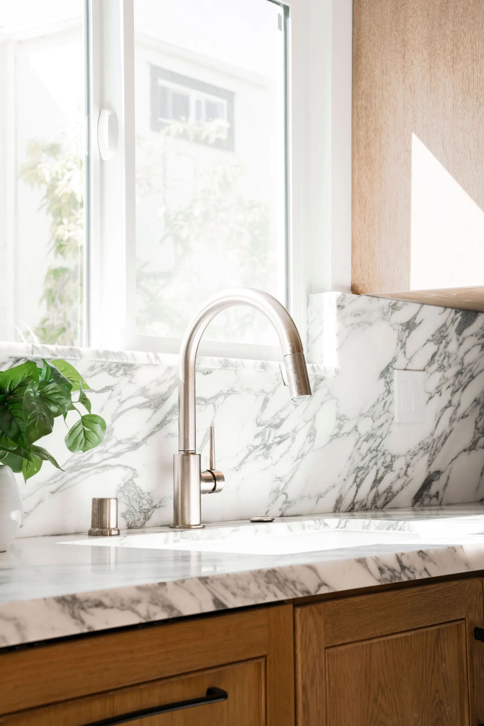 Design-Forward Kitchen in Venice